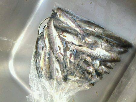 良心的な釣り場で　毎年行きます～